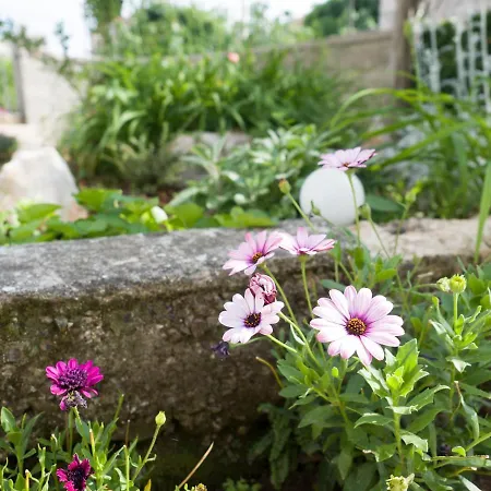 Case de vacanță Vera